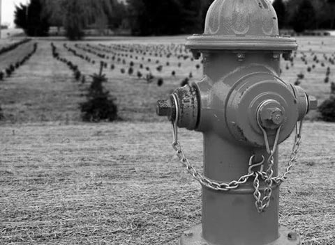 攻击网站的方法